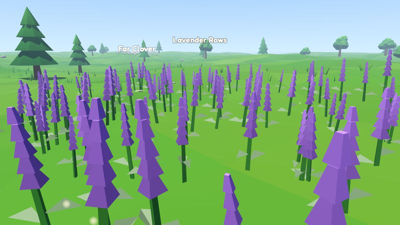 Rows of purple lavender under a clear sky